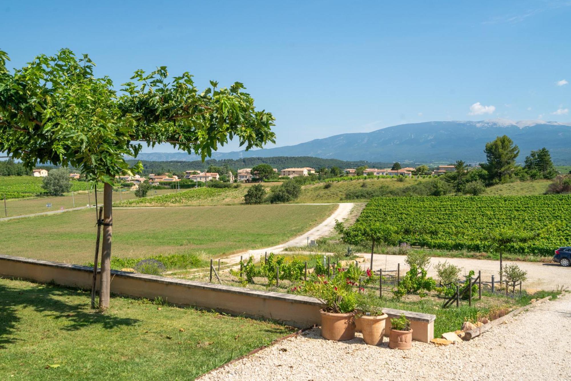 Вілла Les Terrasses De Cascavelle Blauvac Екстер'єр фото