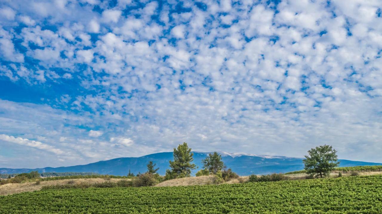 Вілла Les Terrasses De Cascavelle Blauvac Екстер'єр фото